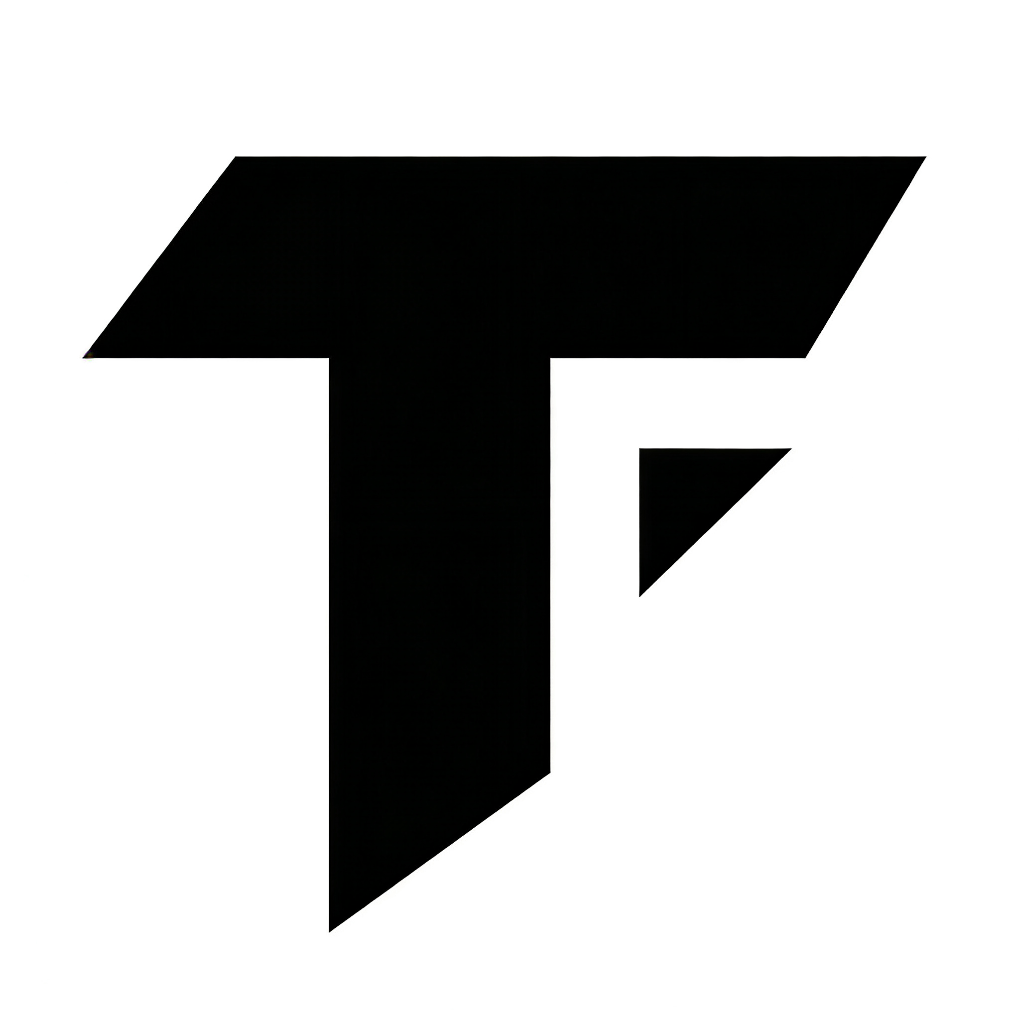 TikFilmer logo